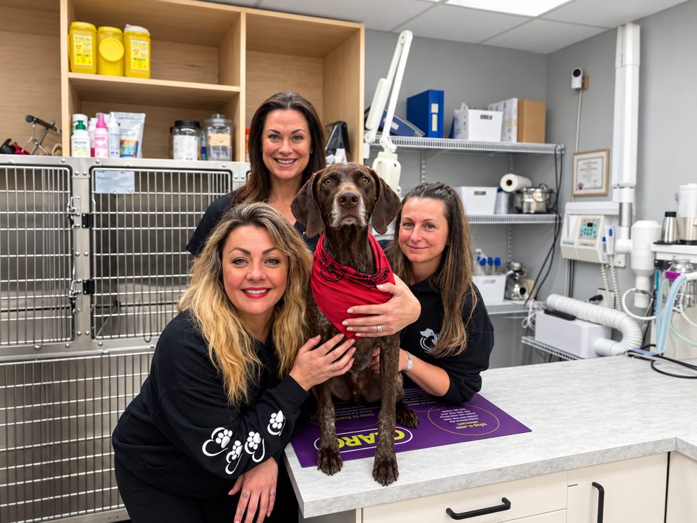 Team members with a dog at the clinic