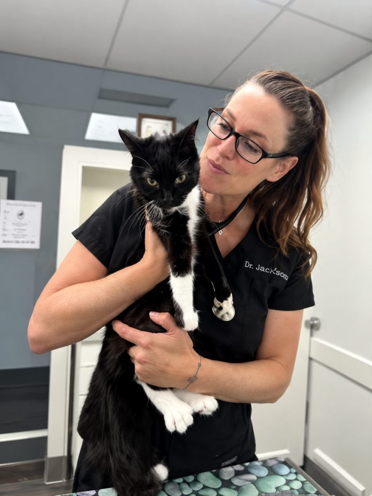Dr. Jackson holding a black and white cat