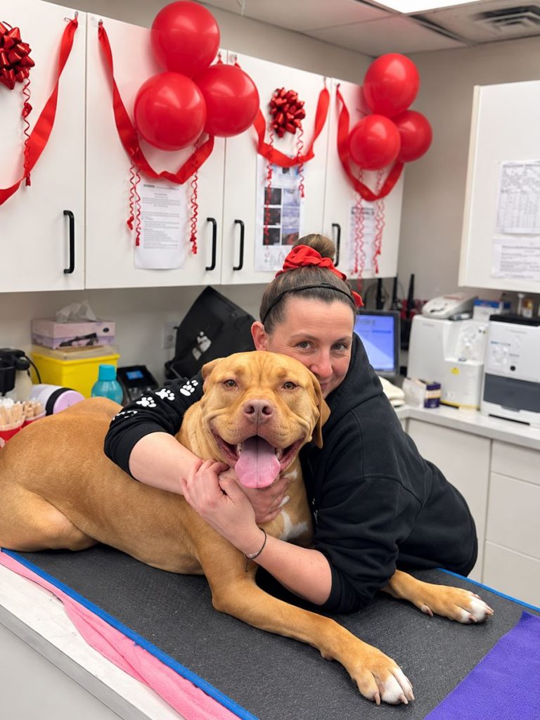 Team member hugging a happy dog on the exam table