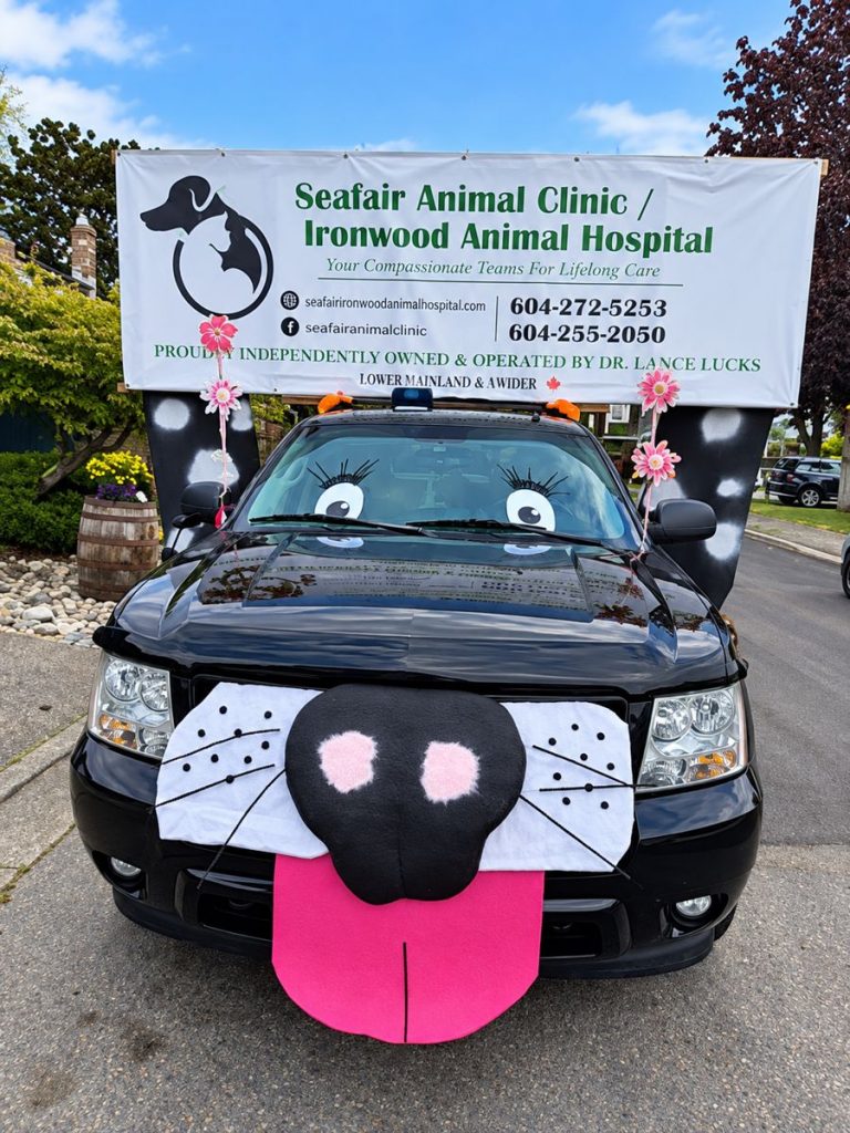 The clinic's parade truck dressed up as a dog