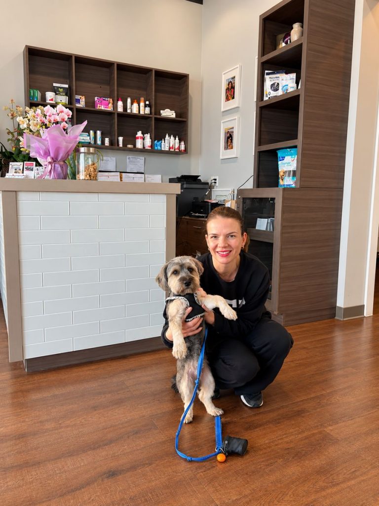 Team member welcoming a dog at the front desk