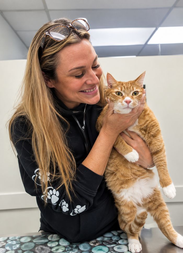 Our receptionist cuddling an orange tabby