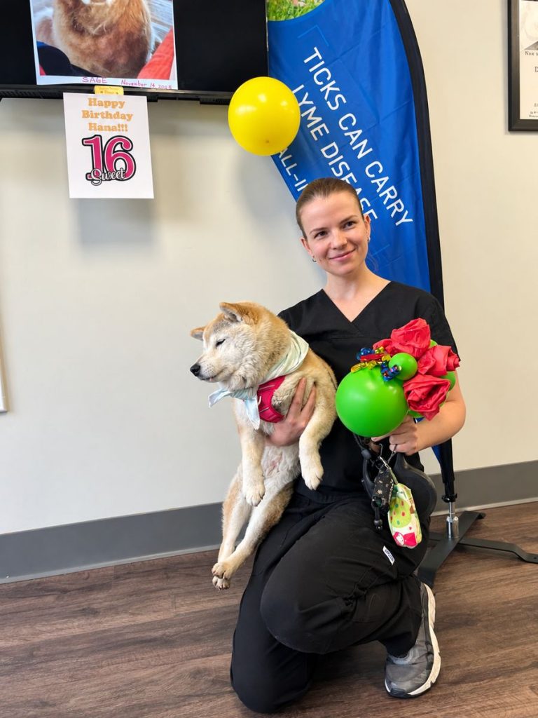 Team member celebrating a senior dog's 16th birthday