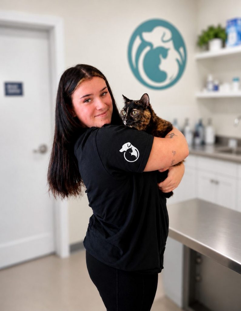 Team member hugging a tortoiseshell cat